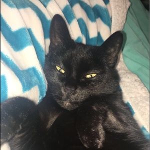 Meet your Posher, Victoria